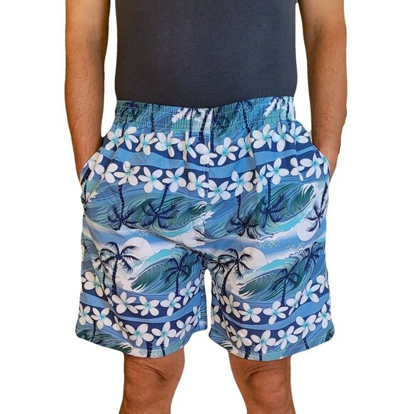 Men Swim Shorts Beach Trunks Bathing Suit Swimwear - Picture 1 of 6